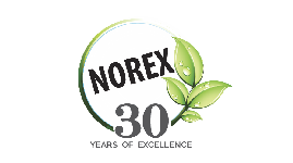 Norex